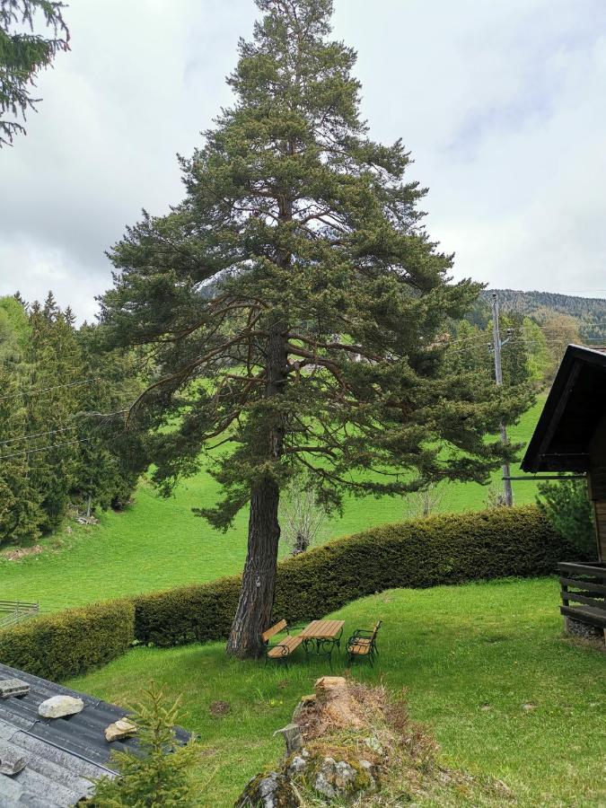 Waldheimat Apartment Fresach Exterior photo